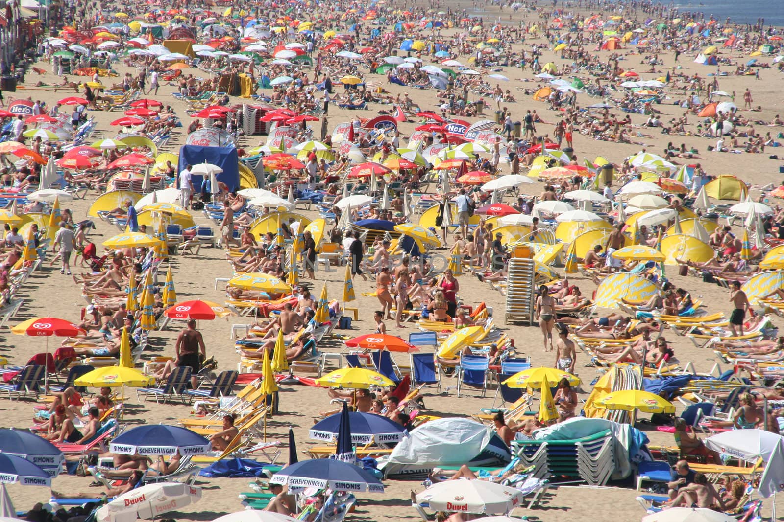 Crowded beach in summer in Holland