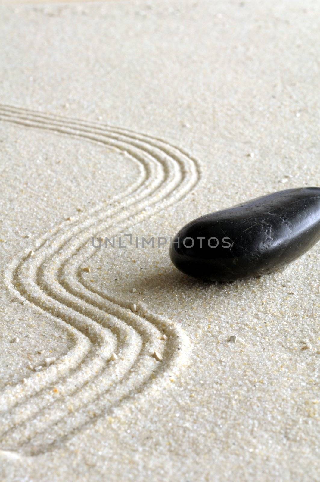 zen still life with sand and green leaf showing wellness concept