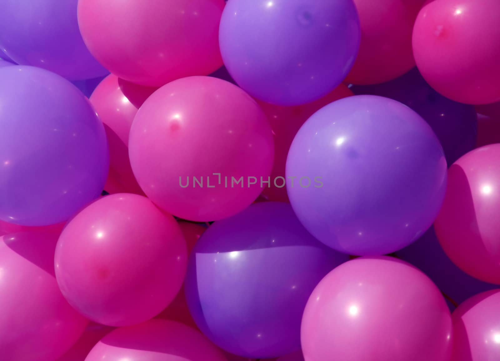 pink and lilac party balloons close-up