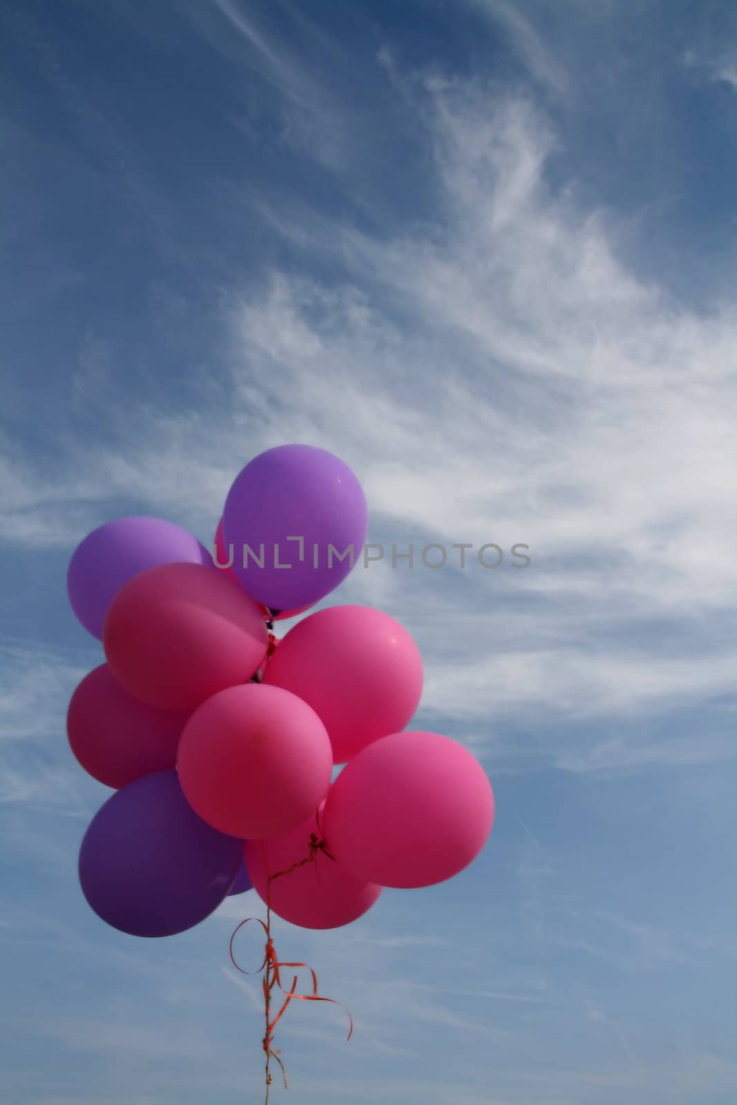 pink and lilac party balloons against blue sky, colorful celebration