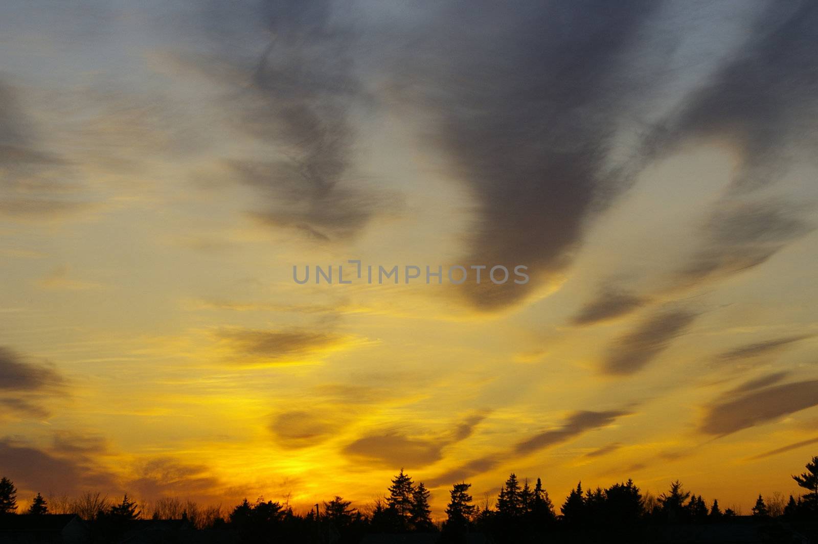 A colourful sunset with trees on the horizon