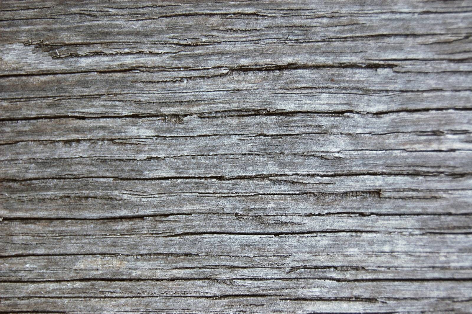 texture of old wood can be used as background
