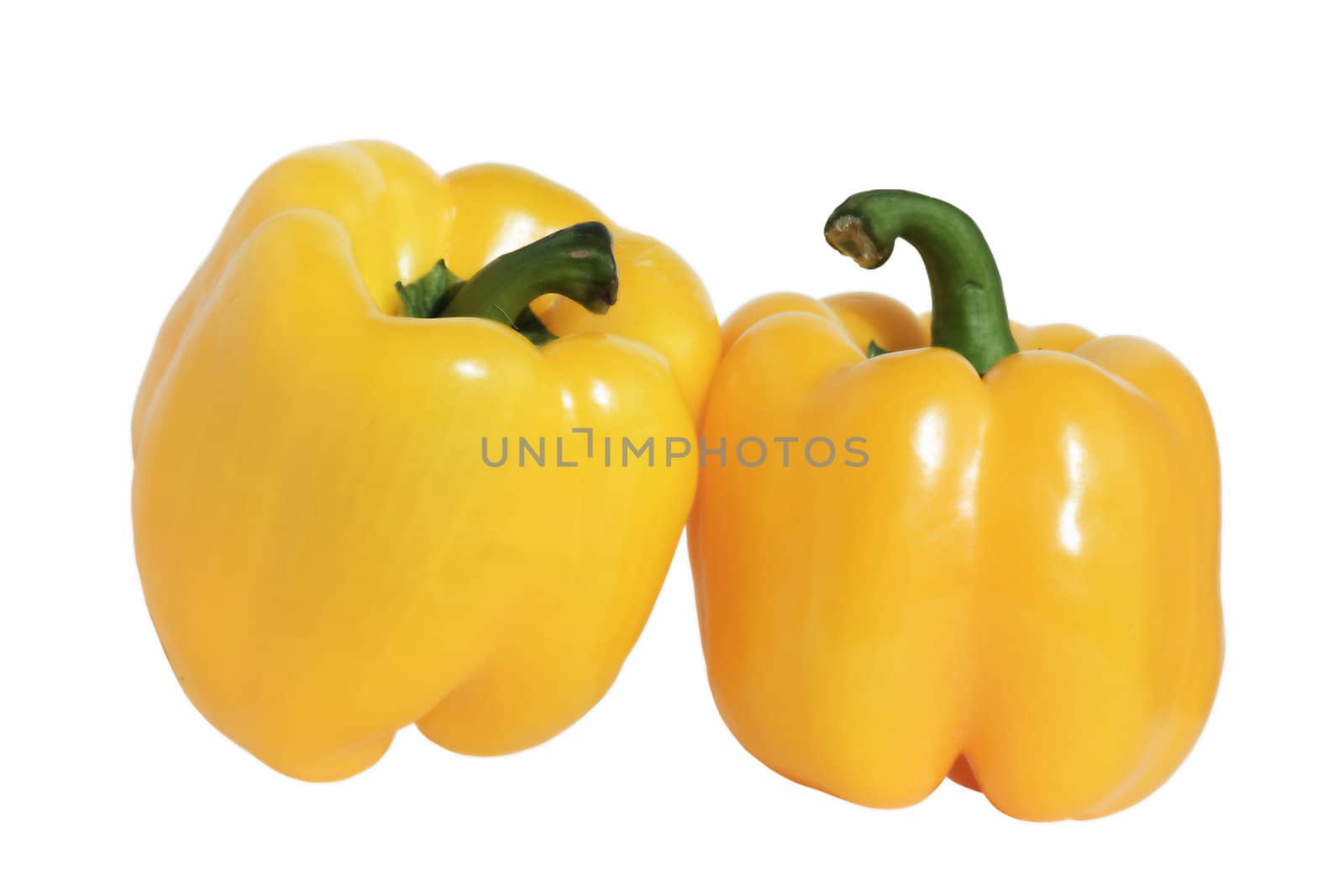 Two large yellow peppers isolated on a white background.