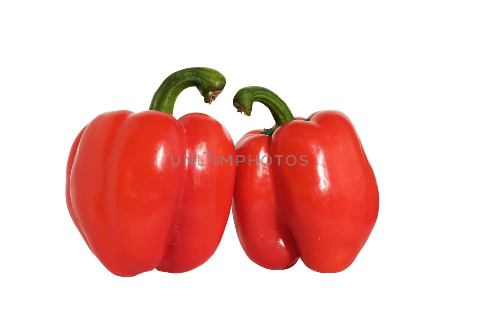 Two large, red peppers, isolated on a white background.