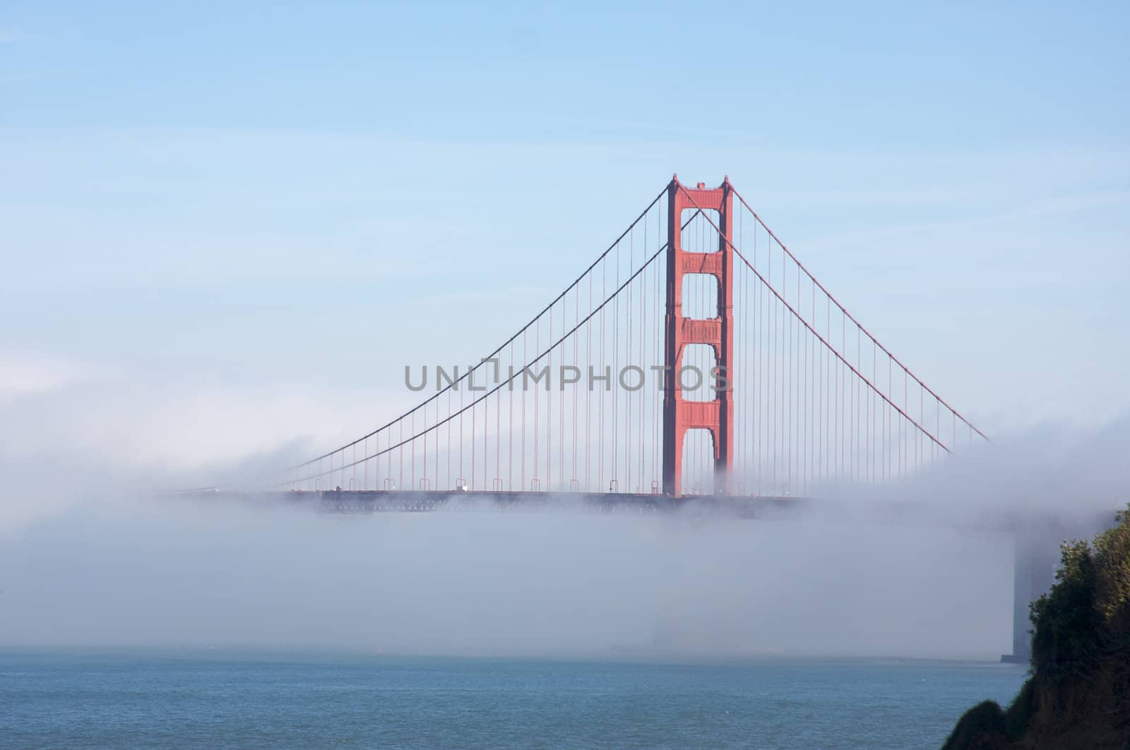 The Golden Gate Bridge in the early morning fog. San Francisco, California, United States.