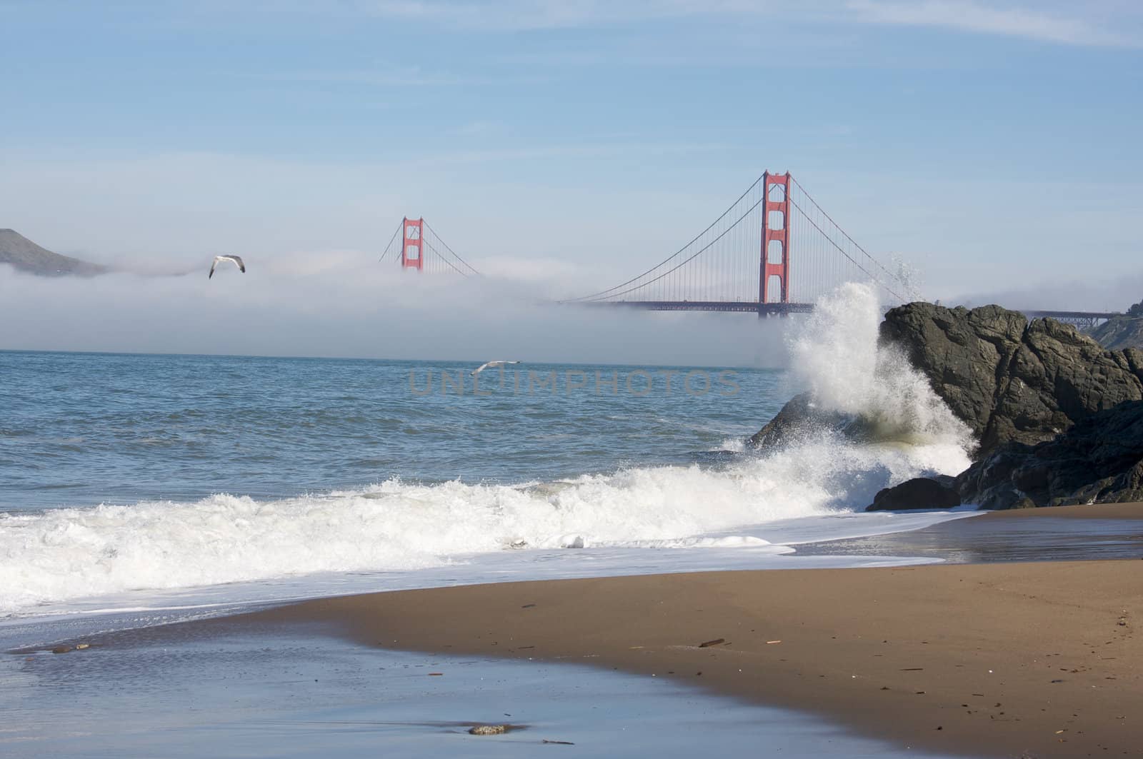 The Golden Gate Bridge in the early morning fog. San Francisco, California, United States.