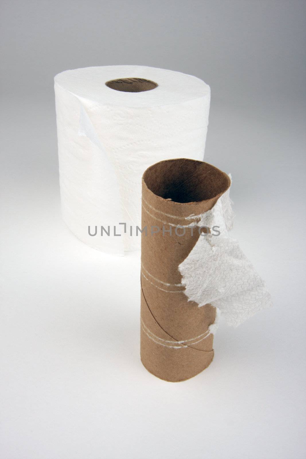 Empty and Full Toilette Paper Rolls by Feverpitched