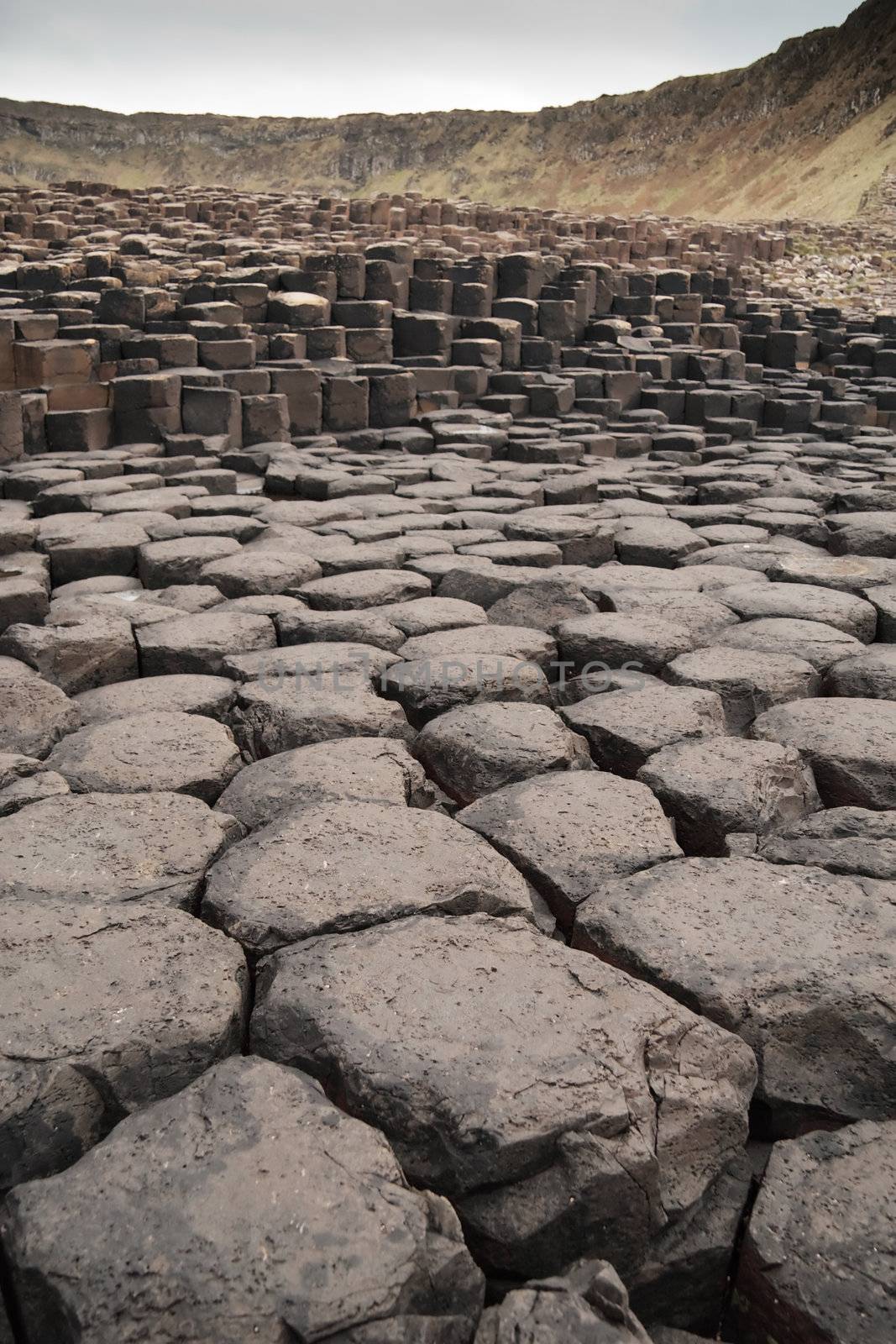 Wide view of Giant's Causeway rock formations