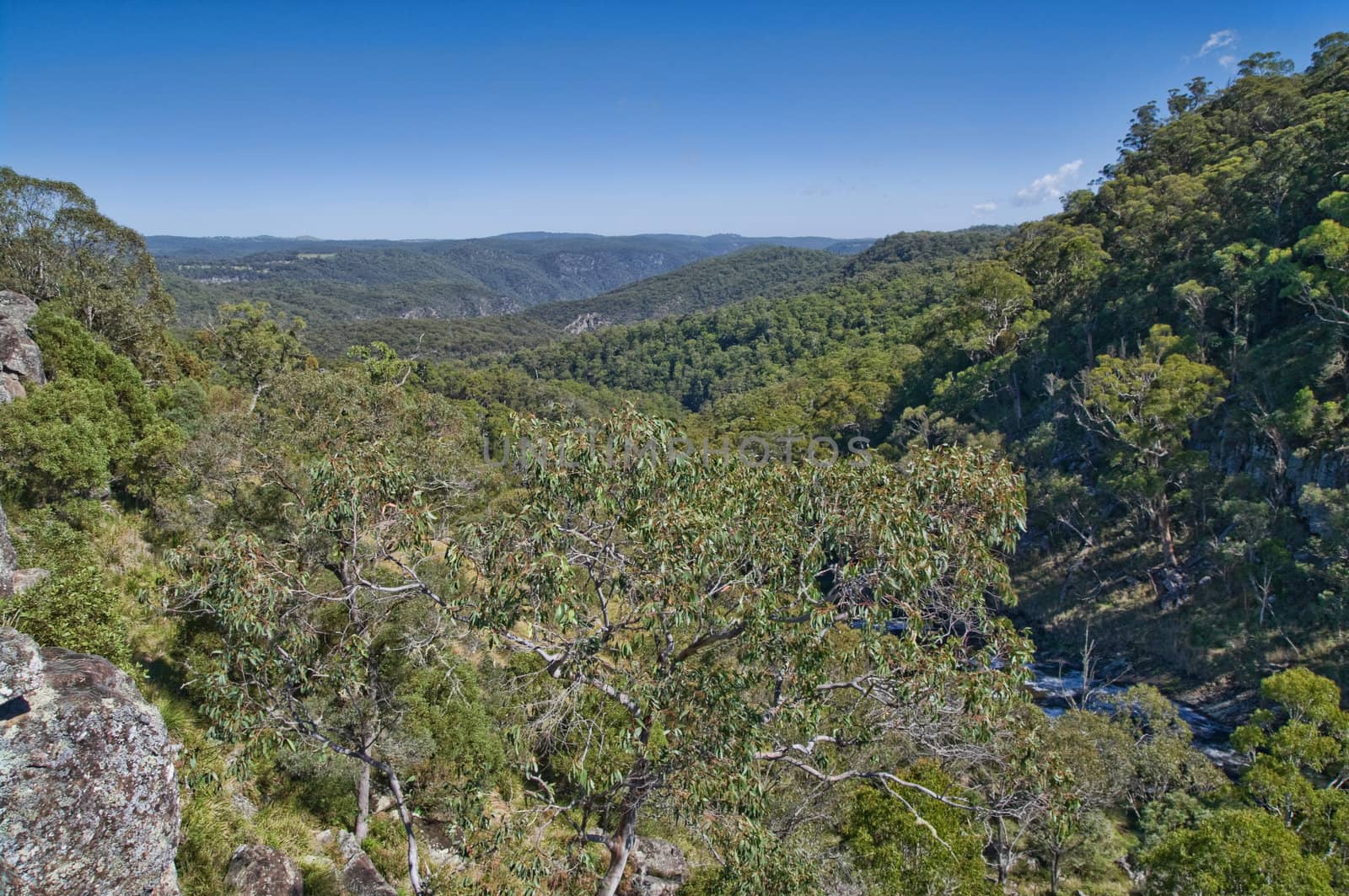 great image looking out over the forests