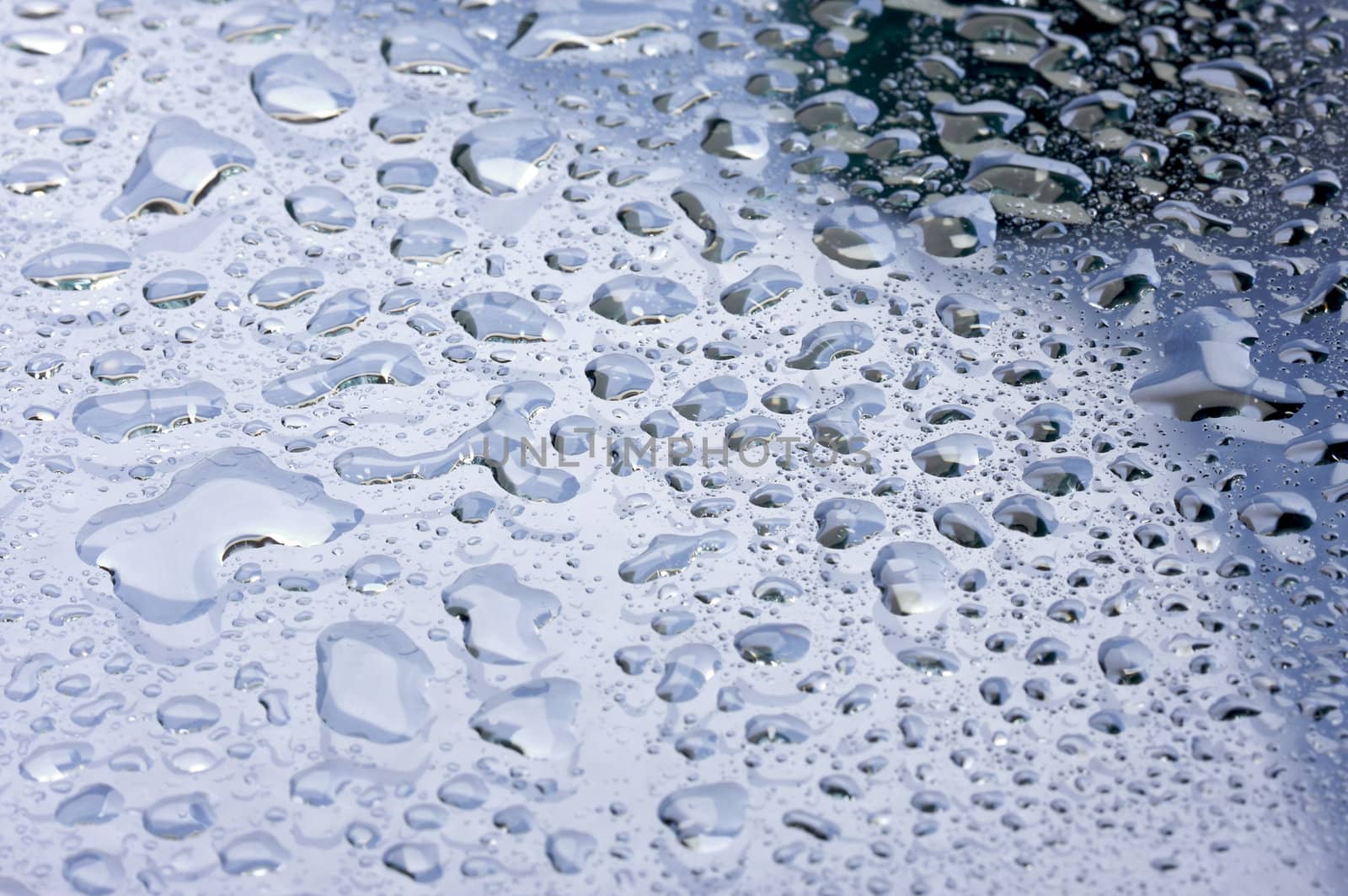 Macro Shot of Water Drops on Glass