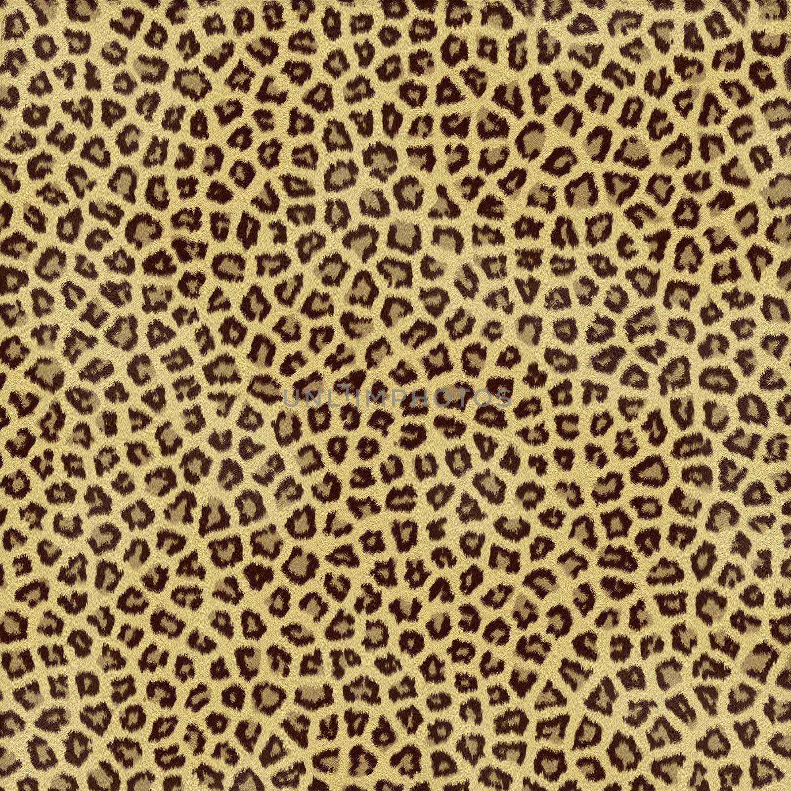 an large illustration of spotted leopard or jaguar skin or fur
