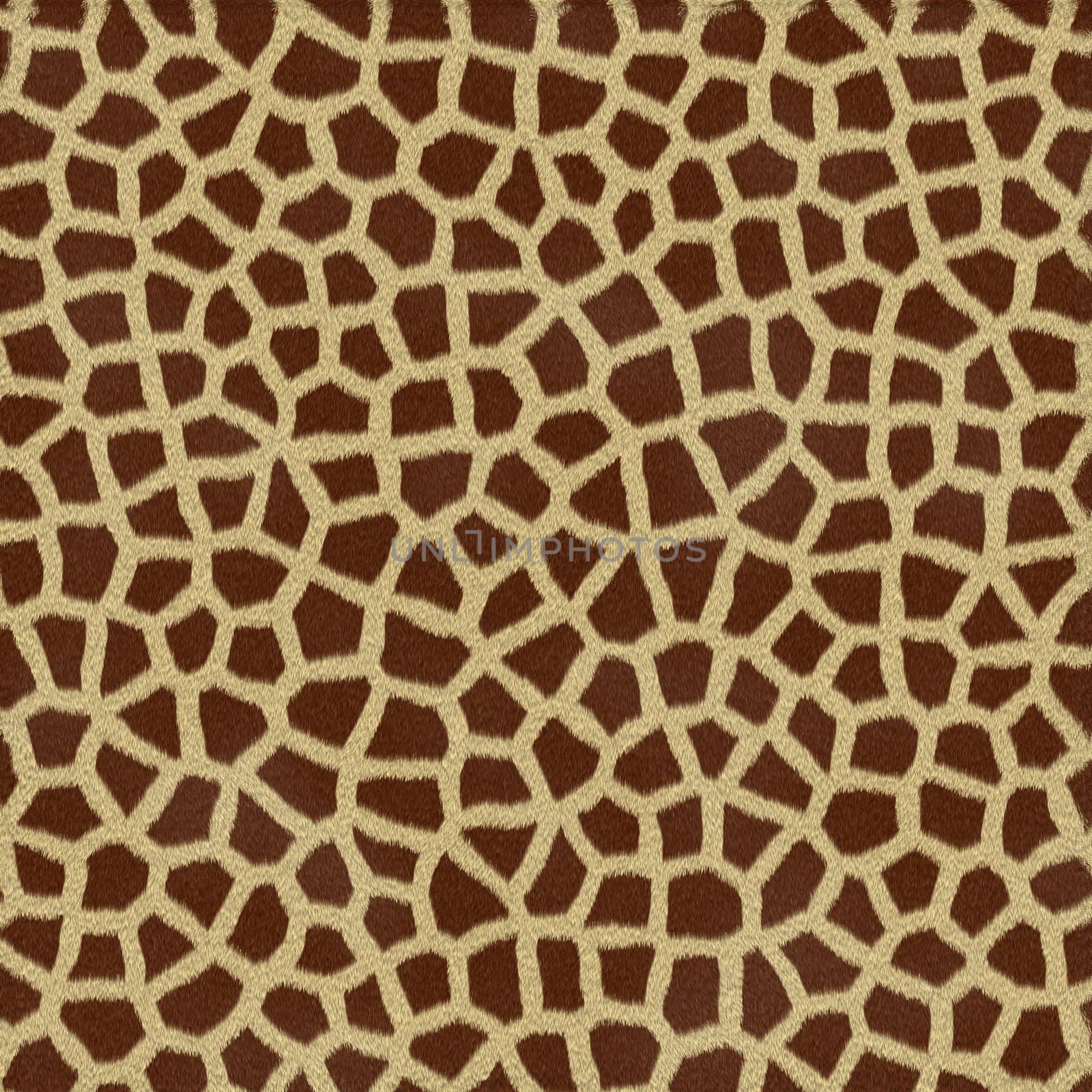 giraffe spots by clearviewstock