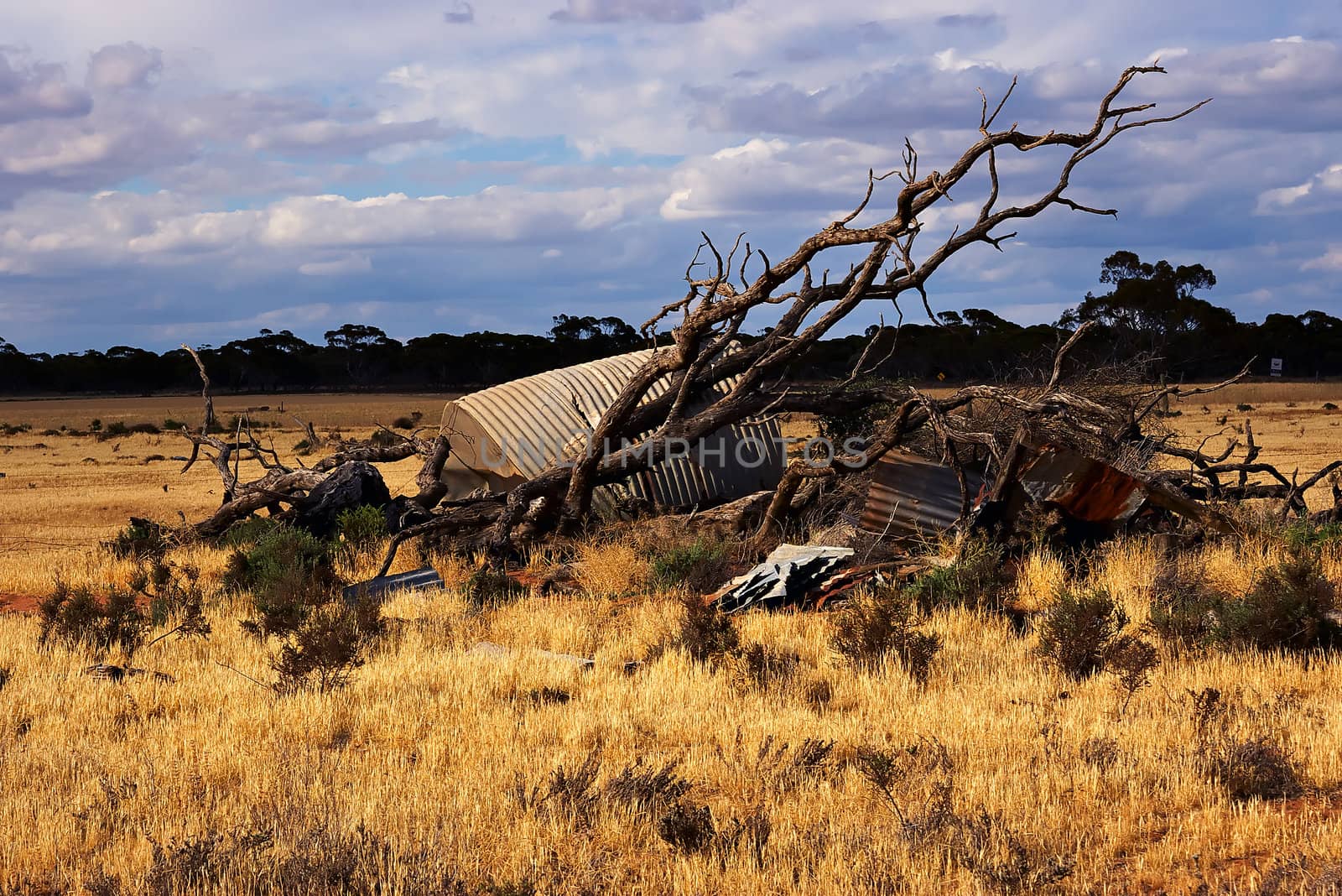 an old fallen tree and  pile of rubbish in the middle of a field