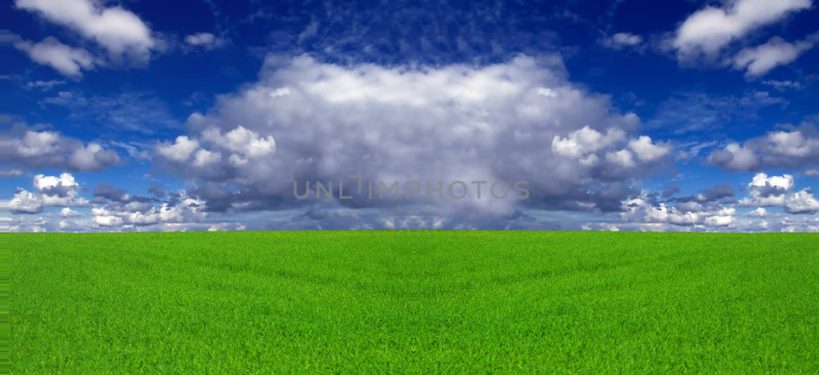 Conceptual image showing amazing blue skies over green meadows