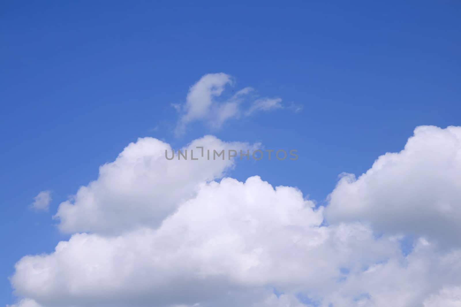 Sky with fluffy white clouds 