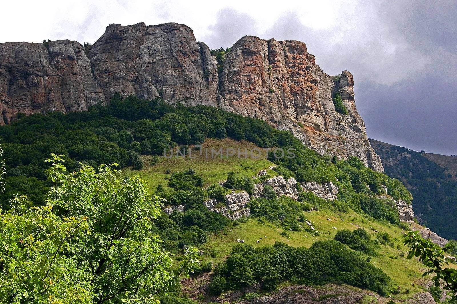 Crimea flora in Demergy mountain