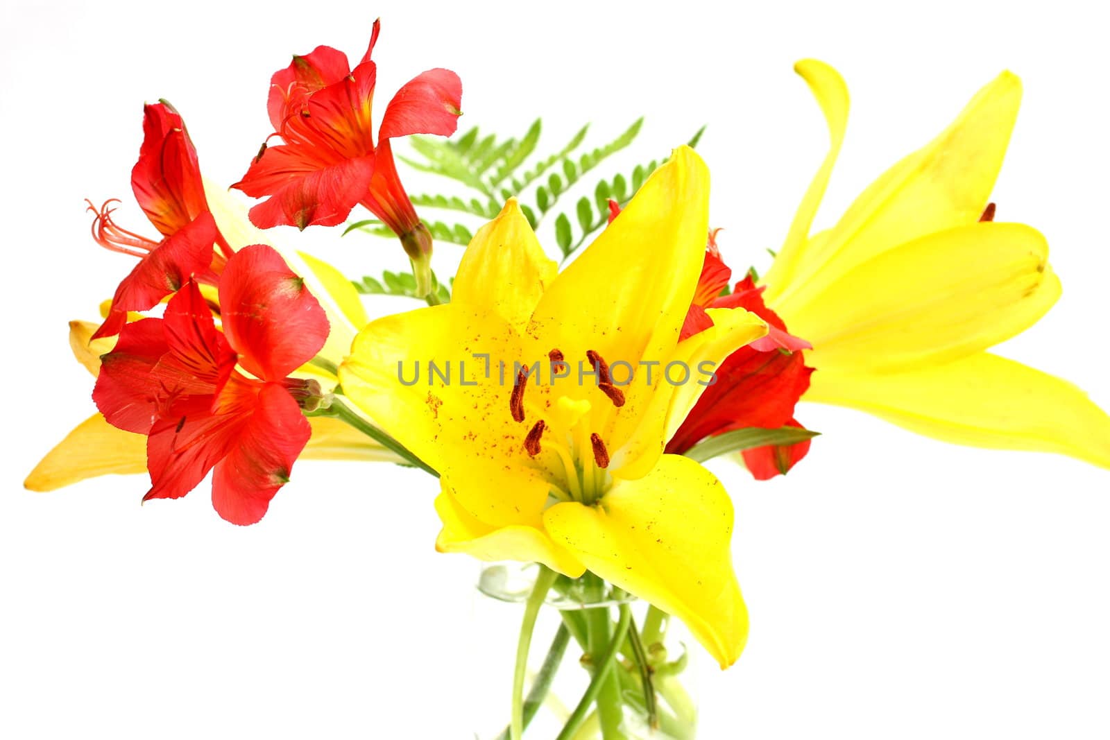 Bouquet of assorted lilies in a vase.