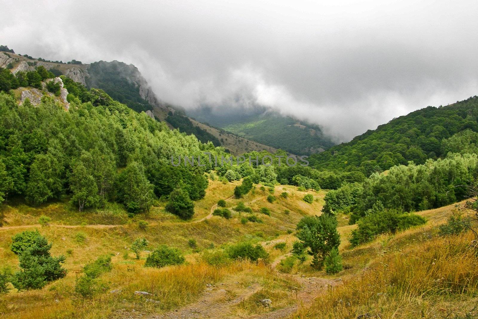 Crimea flora in Demergy mountain