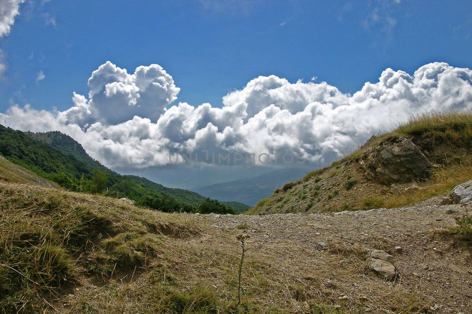 Crimea flora in Demergy mountain