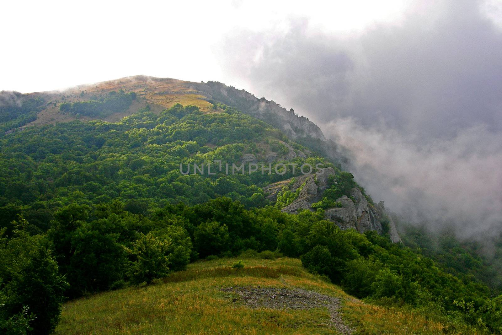 Crimea flora in Demergy mountain