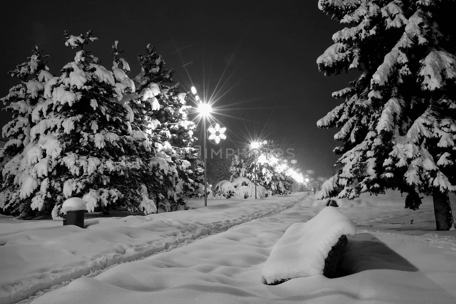 snowy night czech city Havirov with trees and bench