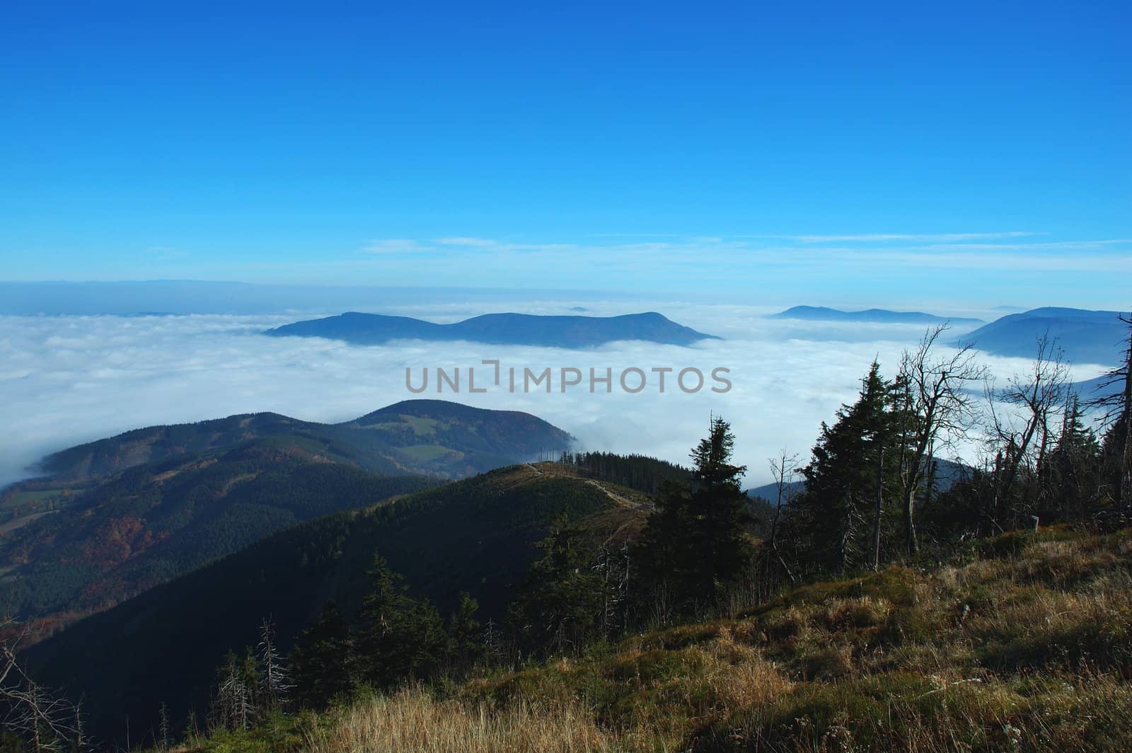 above cloud by lehnerda