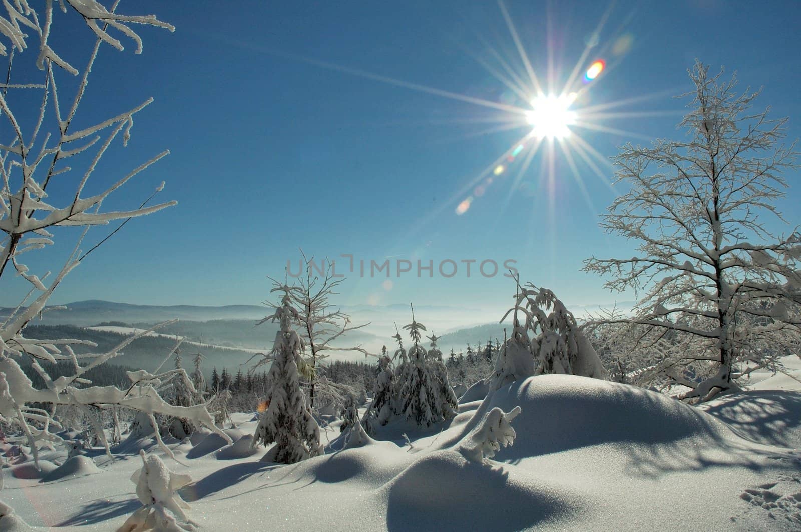 snowy landscape by lehnerda