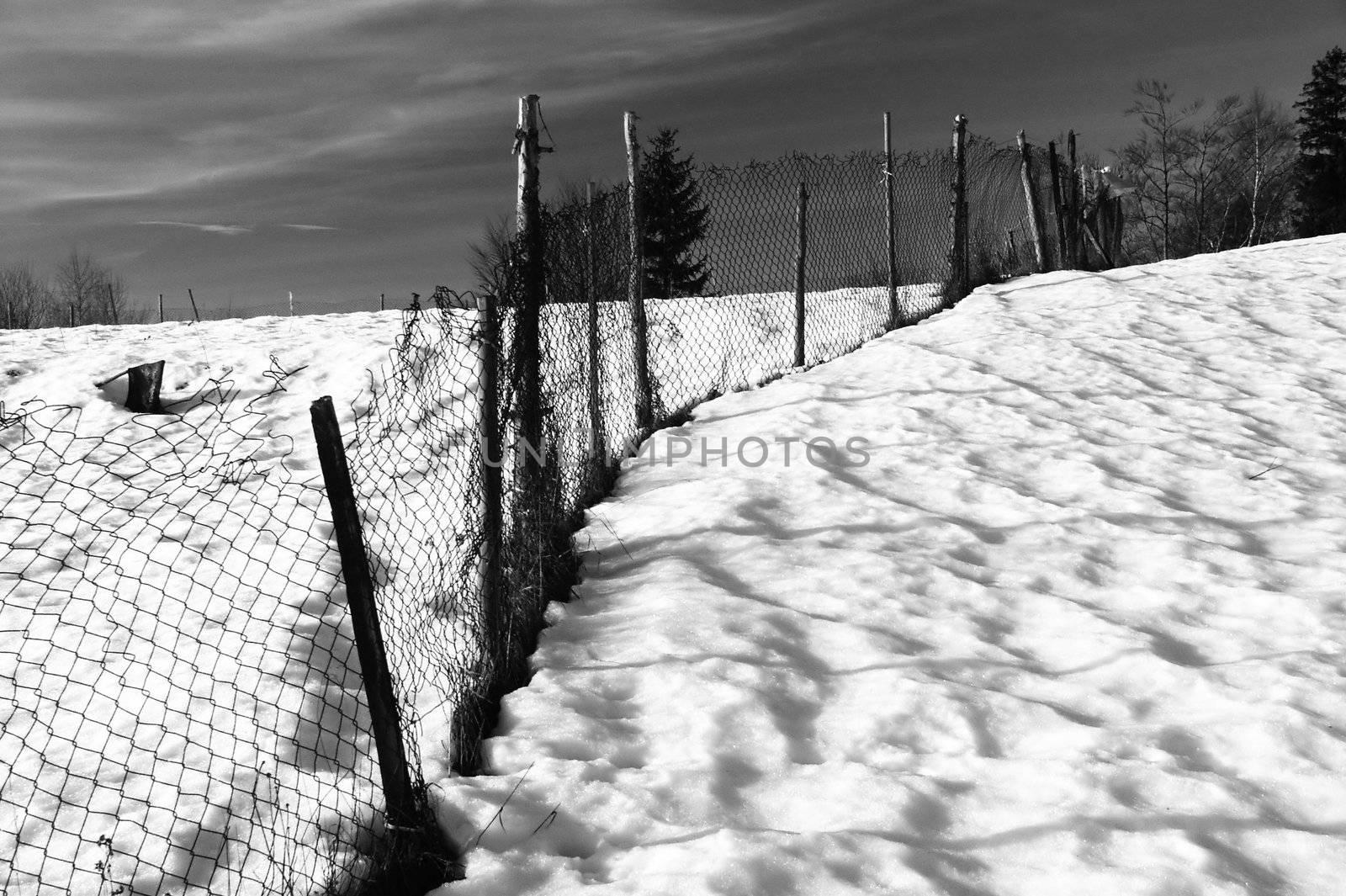 old fence on snowy field, horizontally framed shot