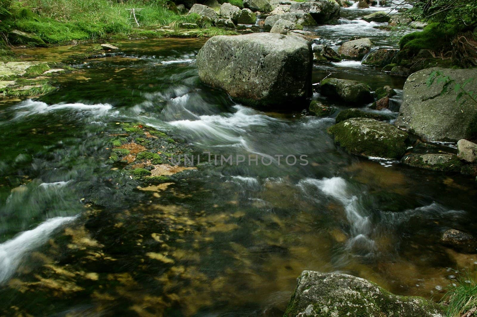 brook with stones and grass, horizontally framed shot