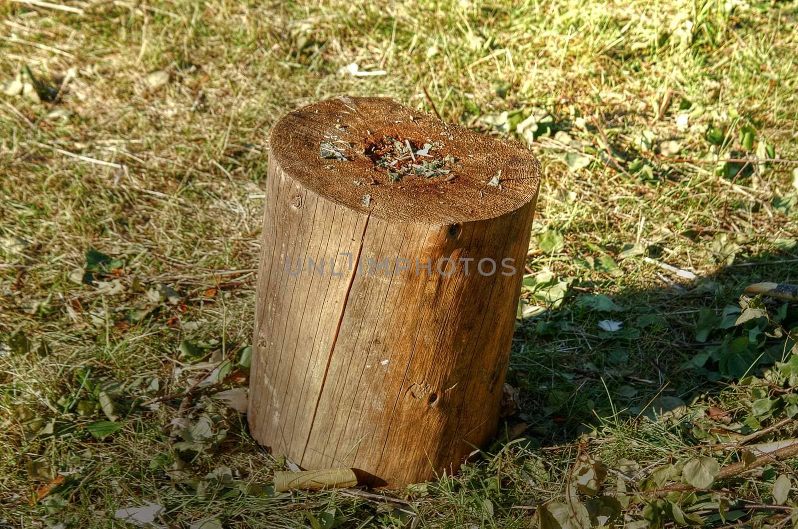 wooden block on the grass