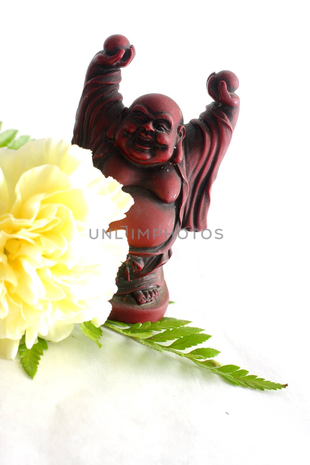 Buddha with white carnation on white background