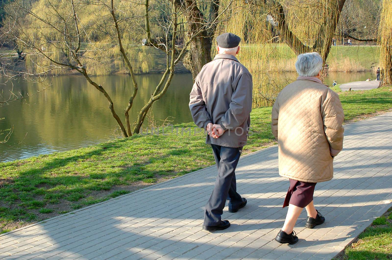 A couple of seniors walking in the park