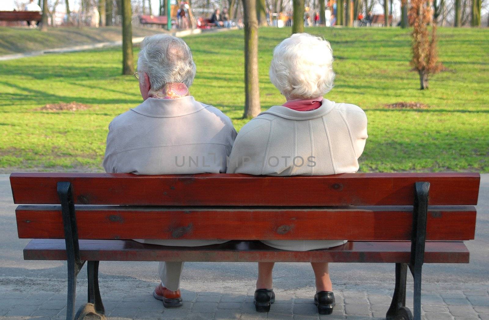 A couple of seniors sitting on a bench in the park
