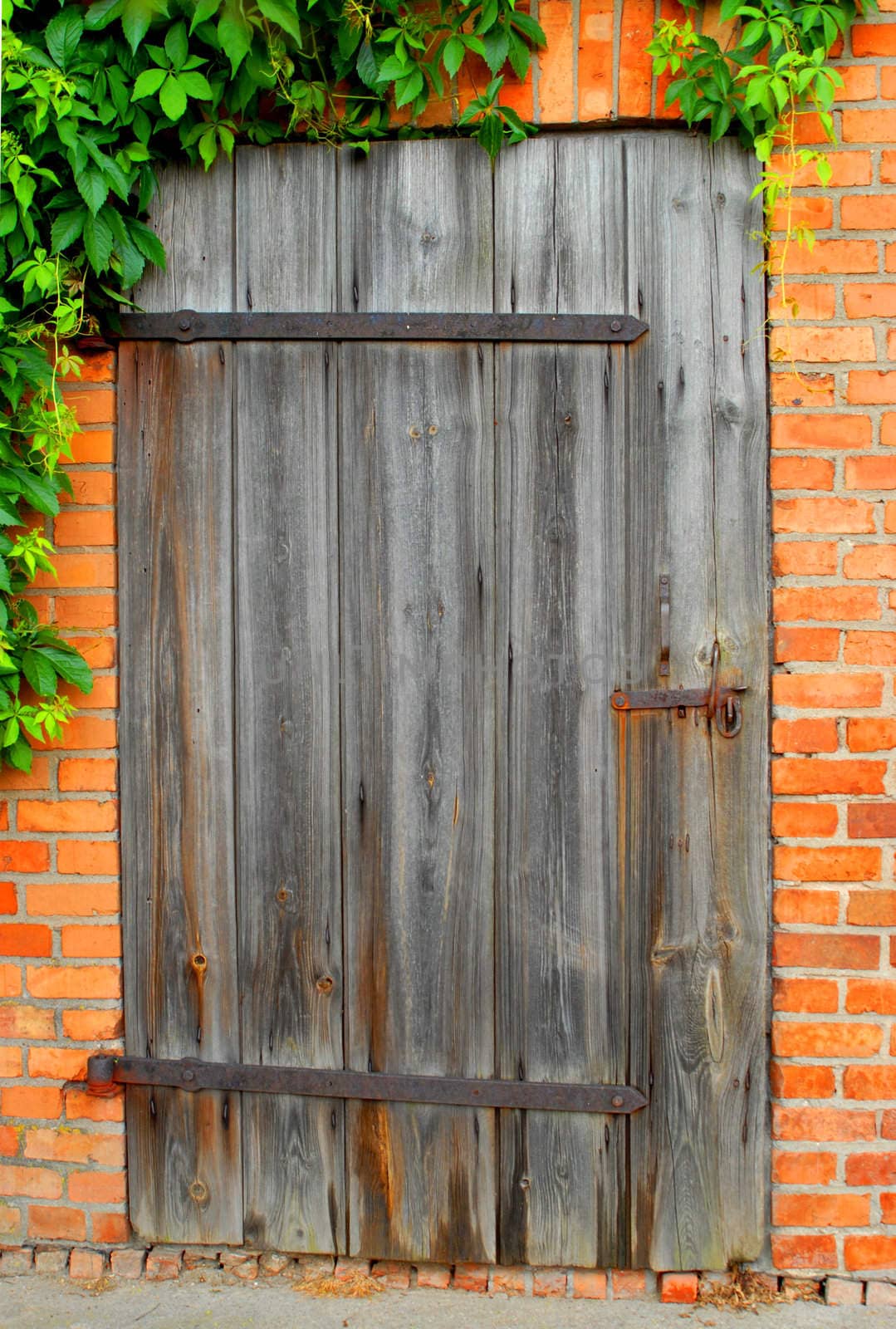 Old door by Yaurinko