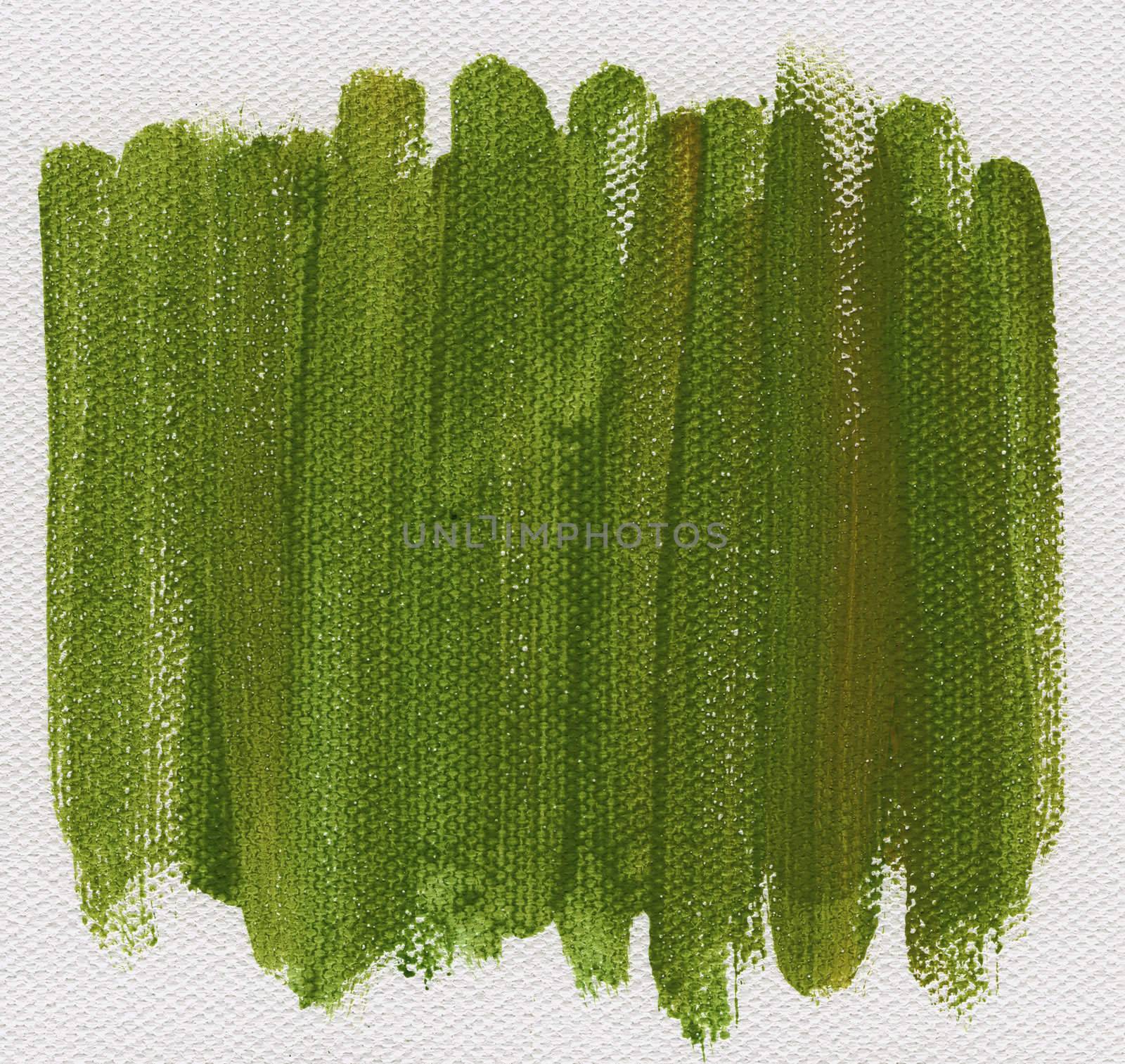 green watercolor abstract on white artist canvas, self made by photographer