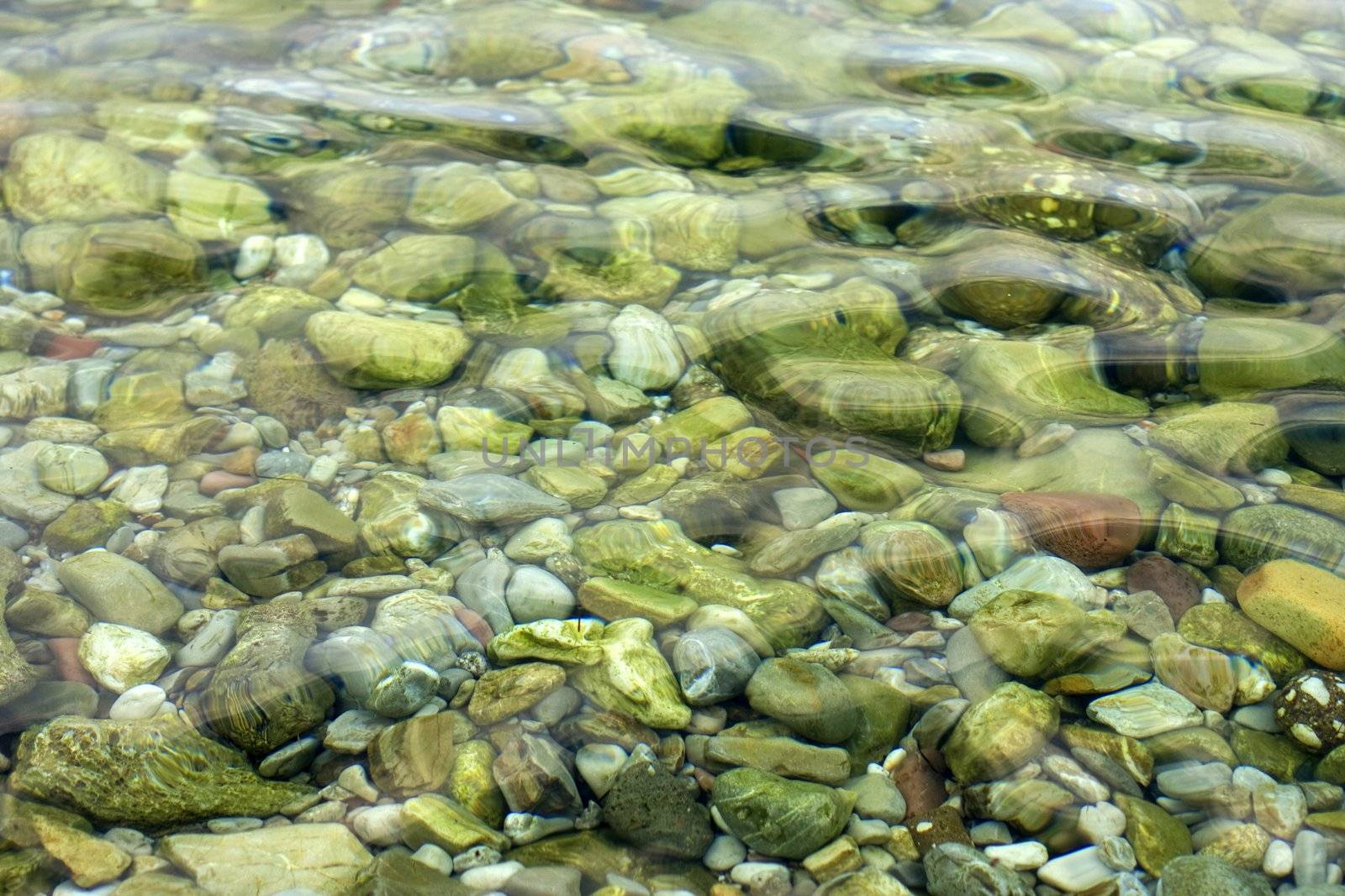 Stones in the transparent watr in the Adriatic sea