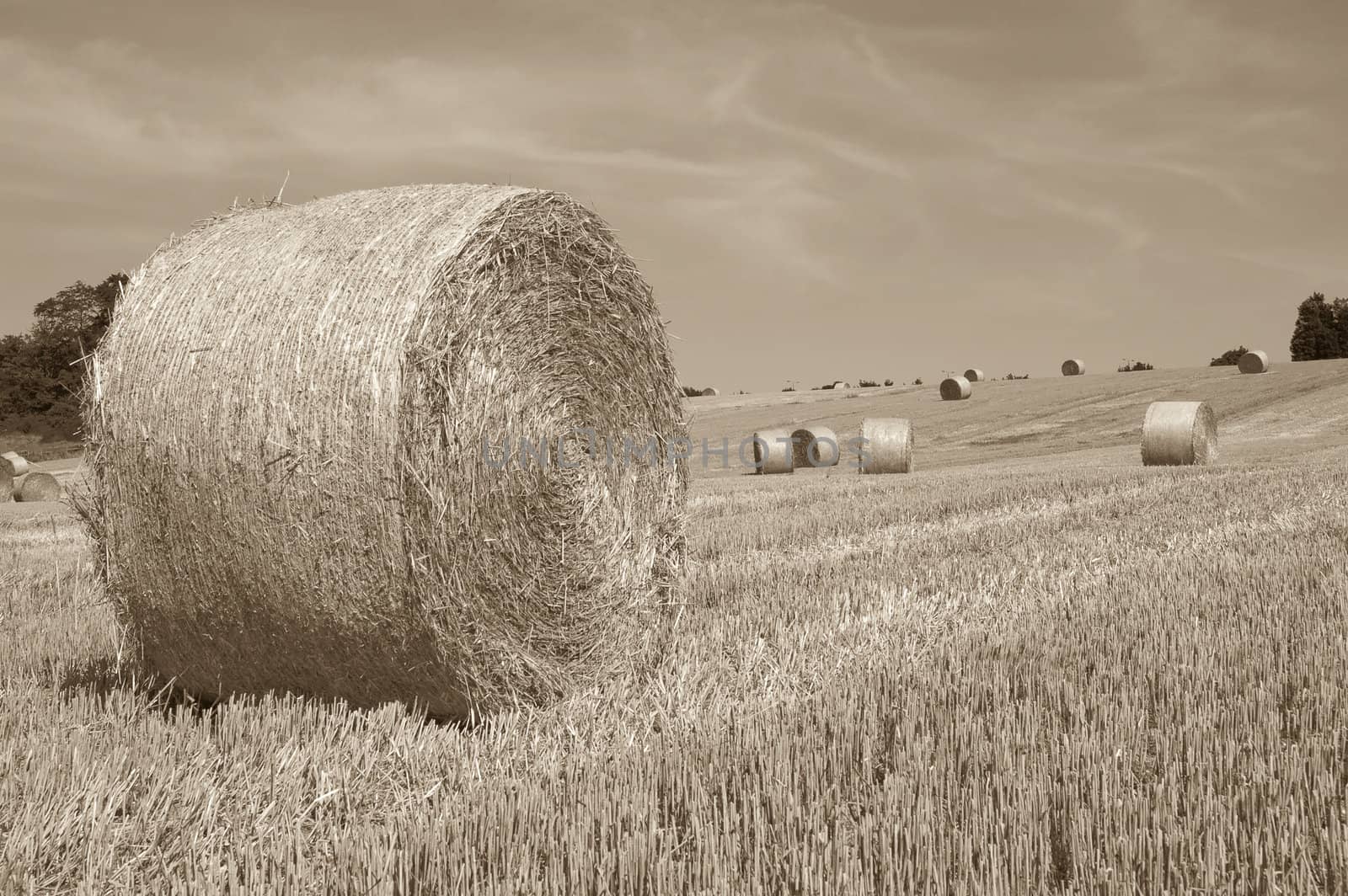 Hay bales by mbtaichi