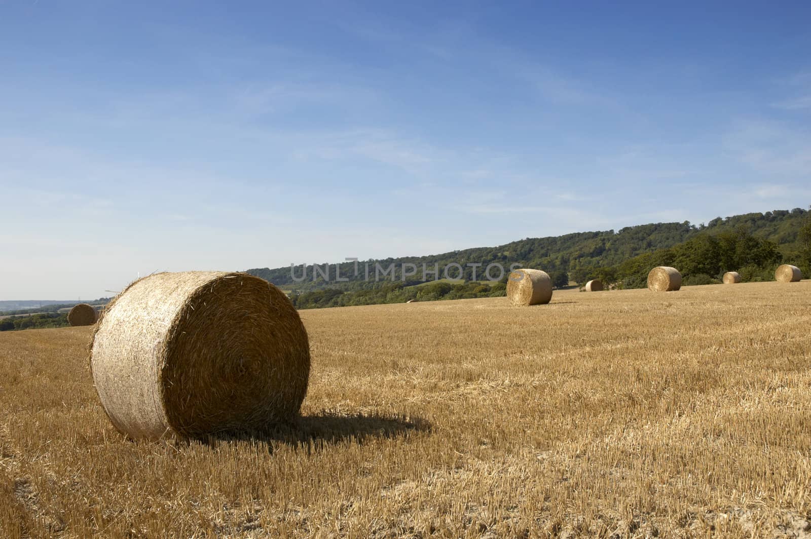 summer landscape with hay bales and deep blue skyscape