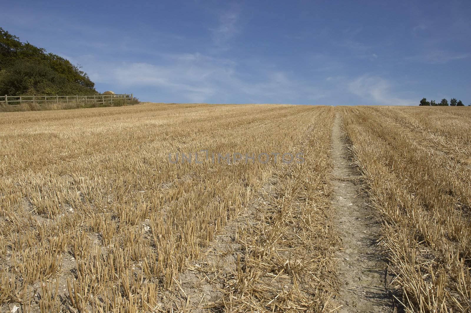 summer landscape with hay bales and deep blue skyscape