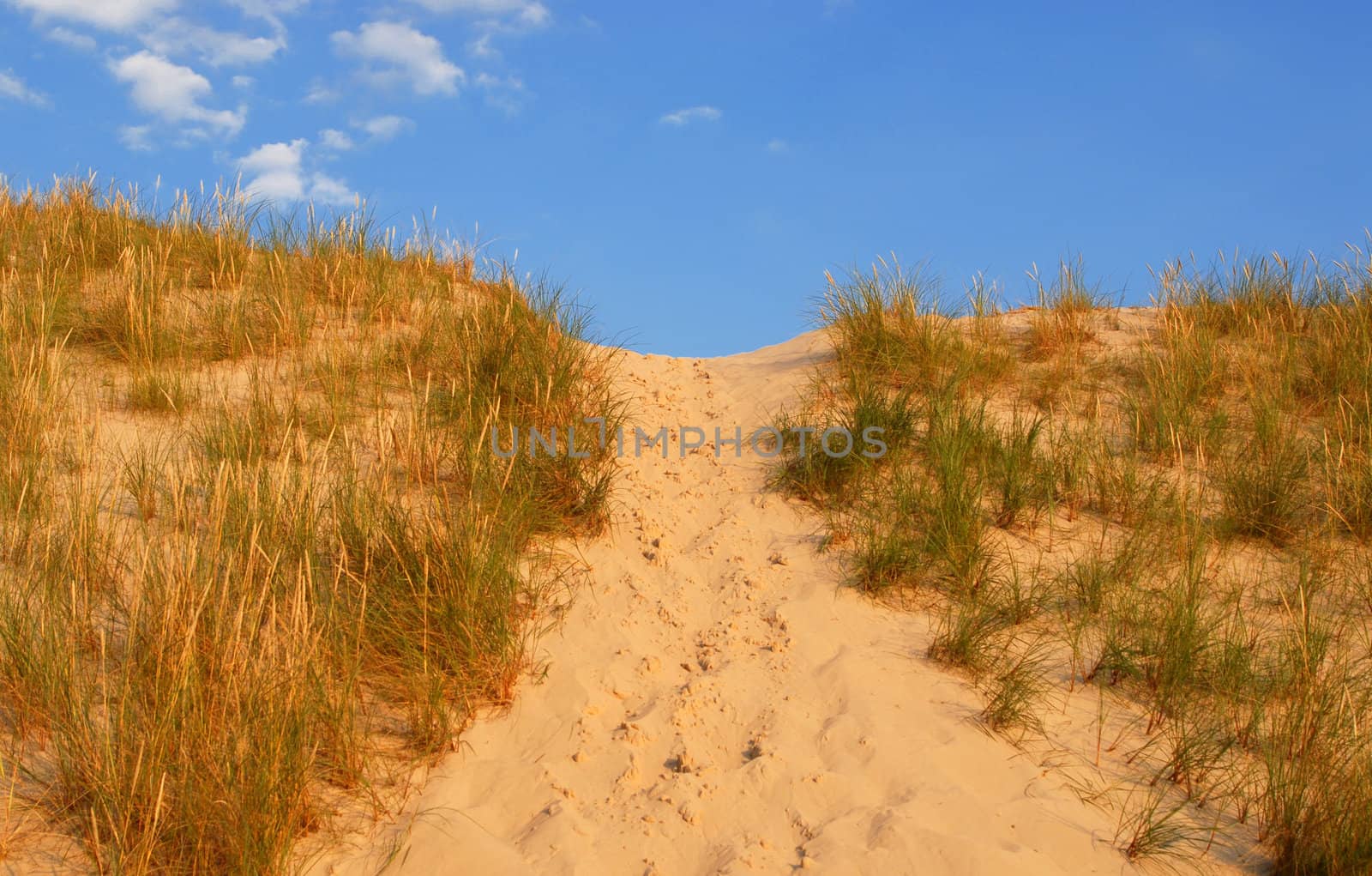 Dune way by Yaurinko