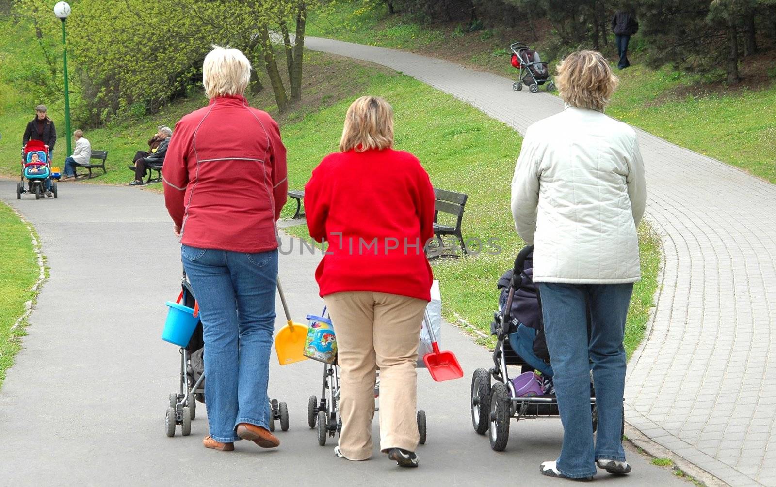 Women with children walking in the park