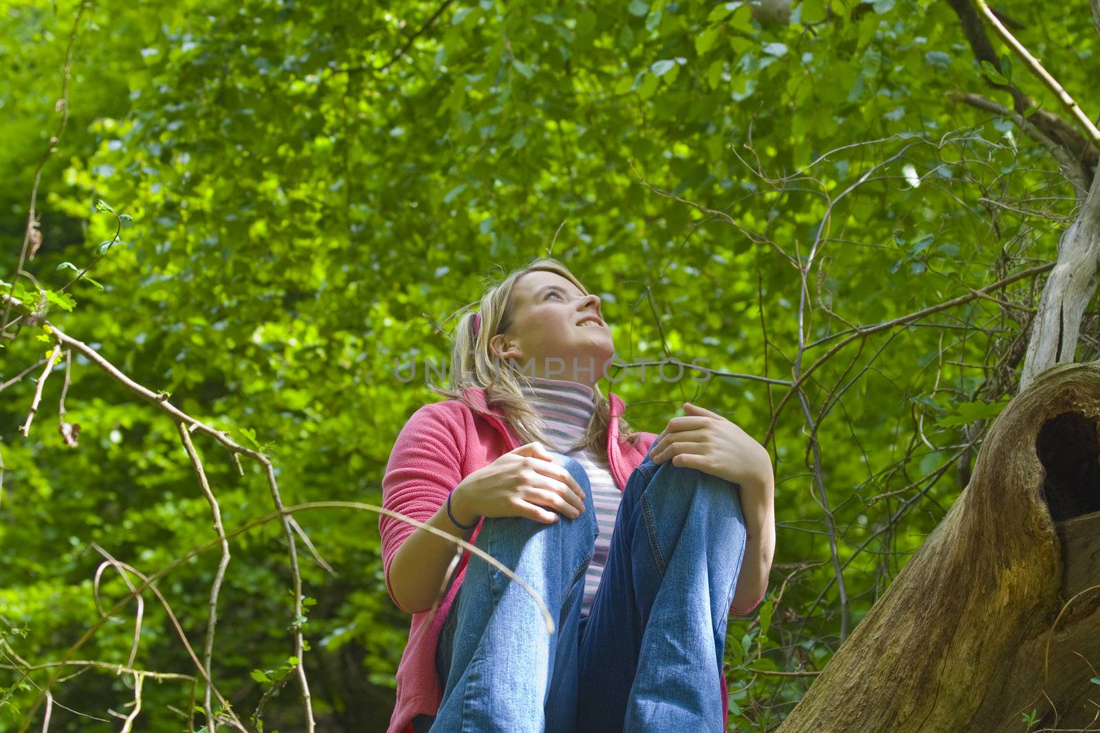 Teenager looks up into the tree in which she has climbed.