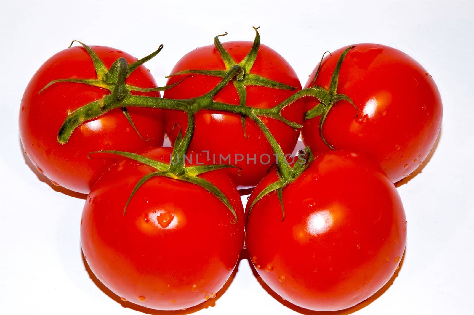 Tomatos on white background