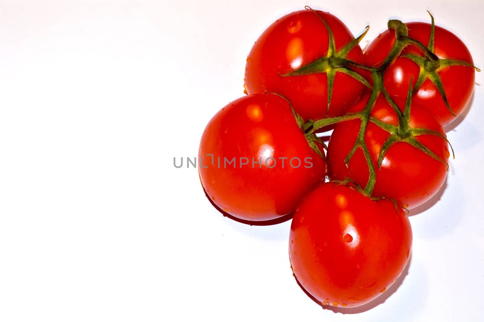 Tomatos on white background