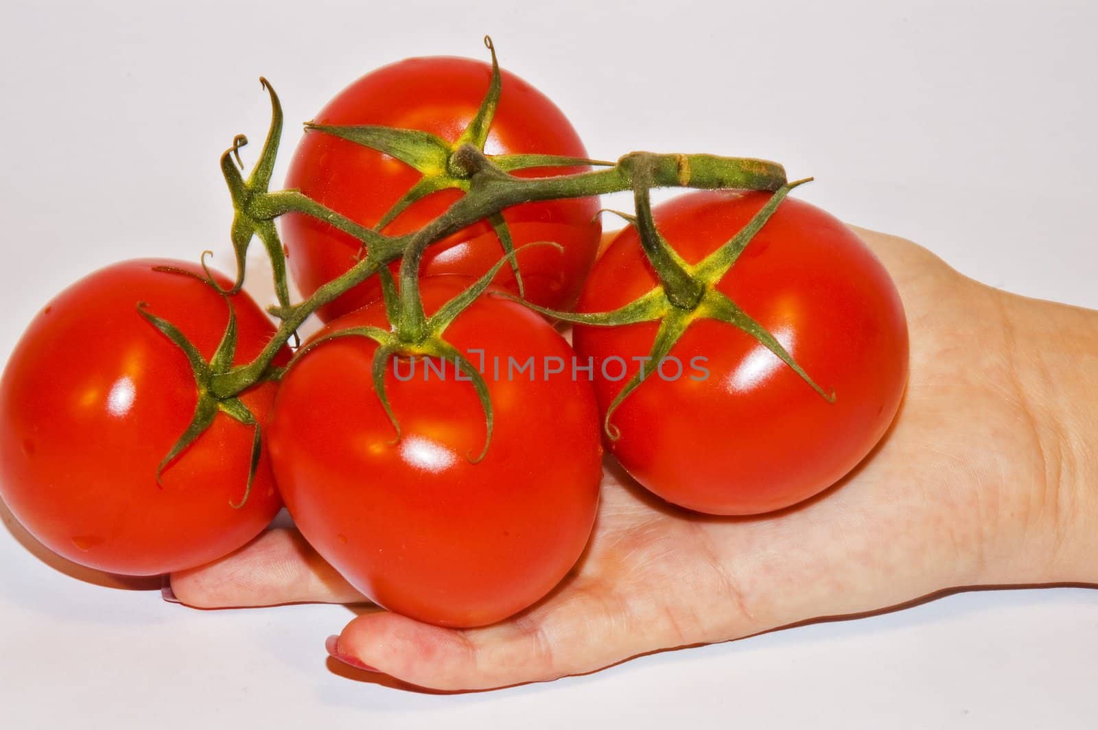 Tomato's on hand