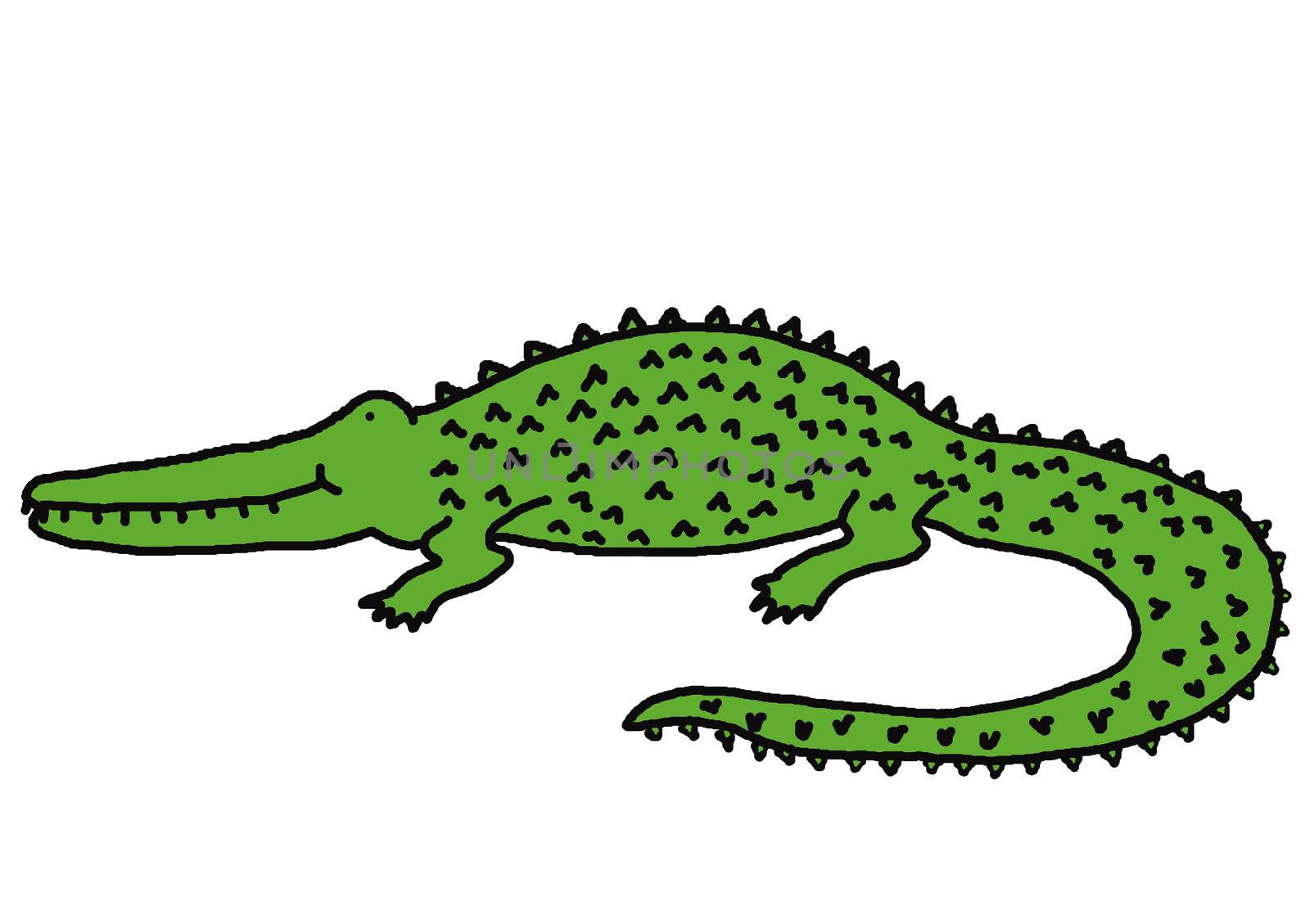 Smiling crocodile by Yaurinko