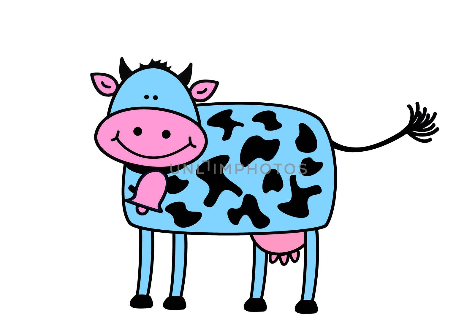 Funny cow on the white background