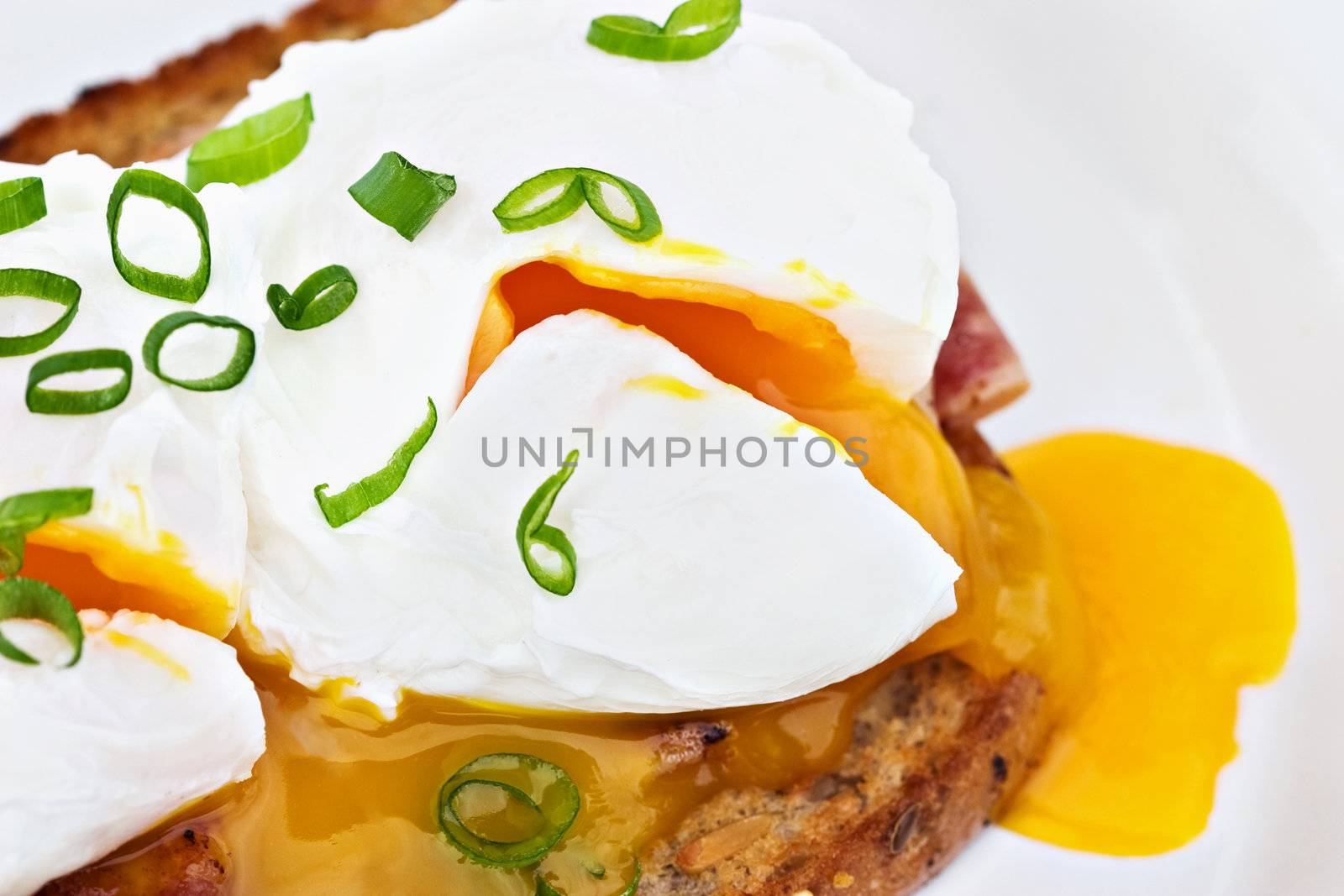 Poached Eggs  by StephanieFrey