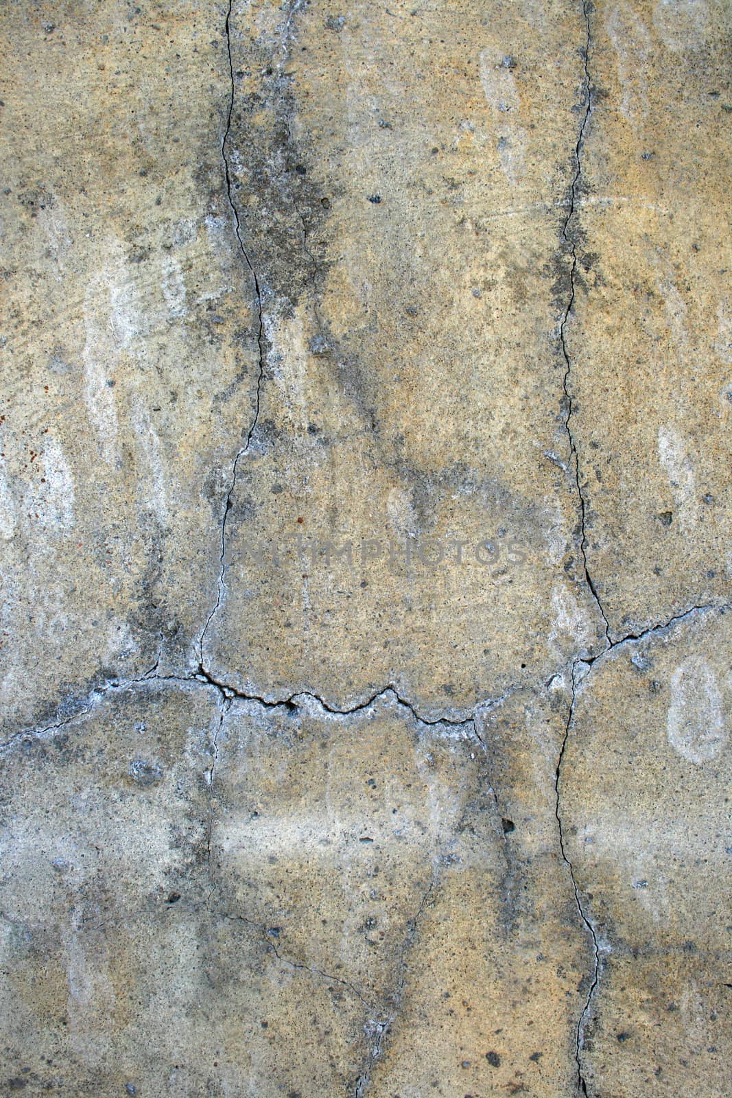 Old cracked concrete wall: grunge background by anikasalsera