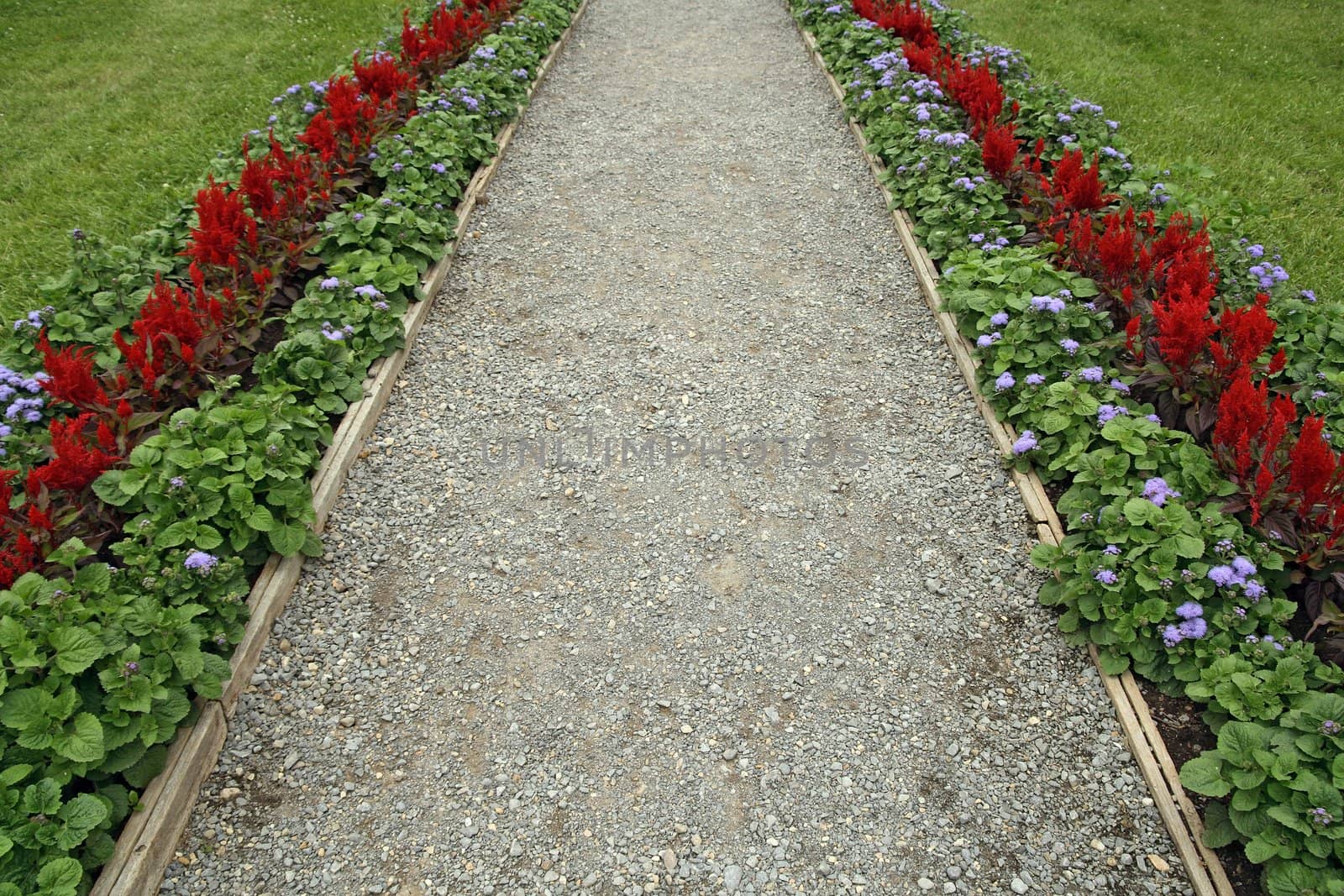 Gravel path surrounded by flowers, leading to a mansion.
